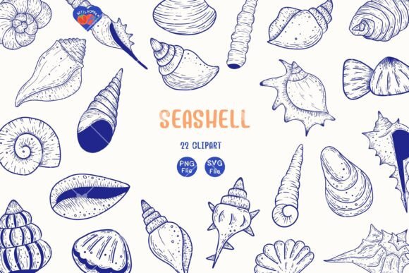 Seashell Clipart: Graphics for Coastal Designs